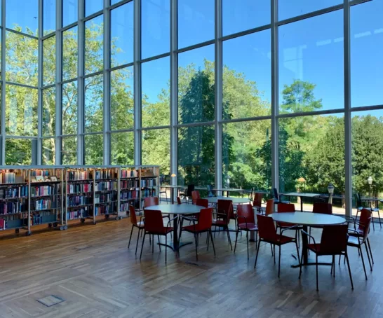 eine Bibliothek voller Bücher neben einem hohen Fenster.