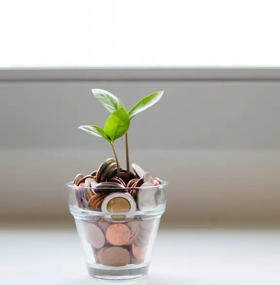 eine Pflanze, die aus Münzen in einer Glasvase wächst.