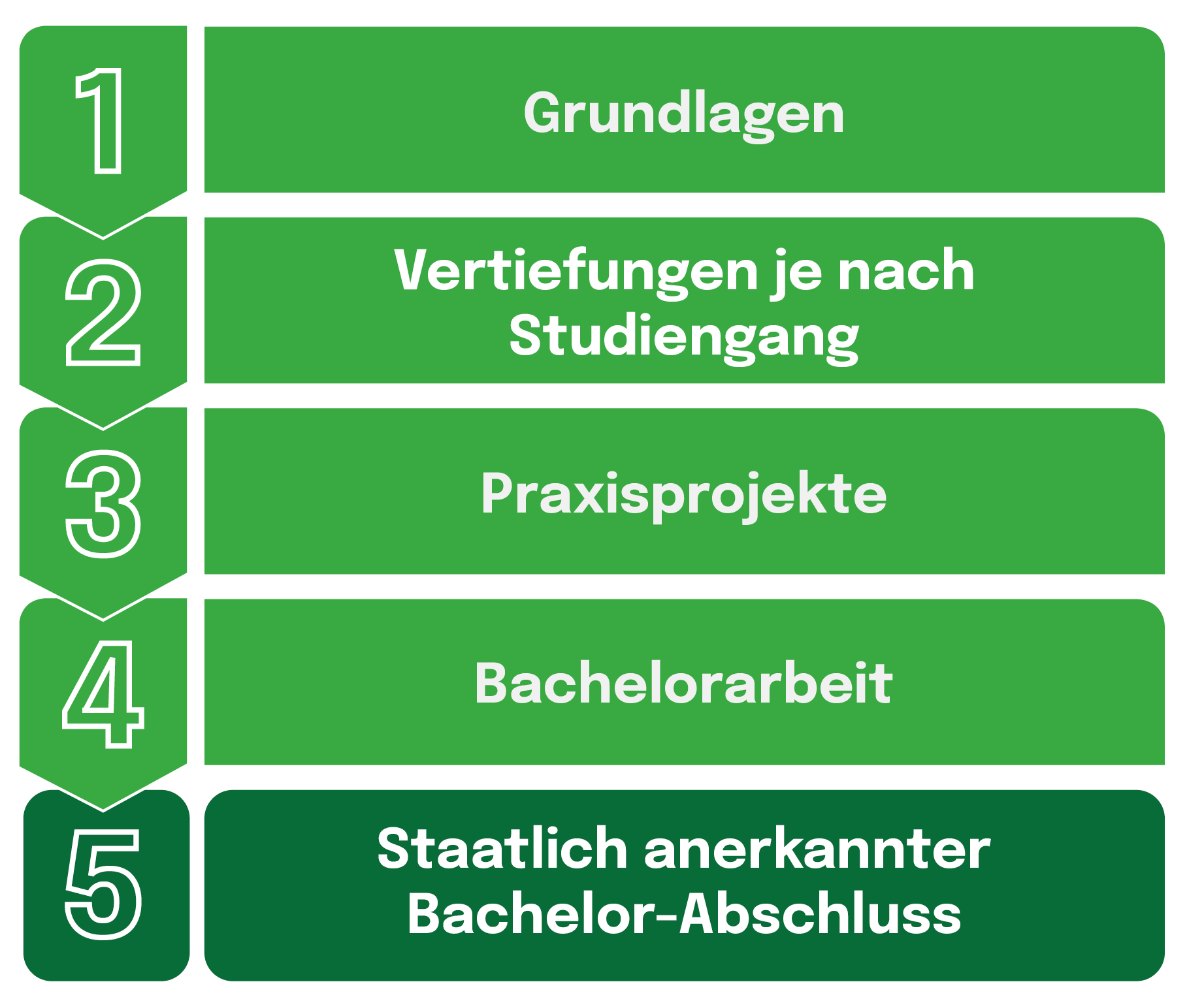Infografik: 5 Schritte des Bachelorstudiums - Grundlagen, Vertiefungen, Praxisprojekte, Bachelorarbeit, Abschluss