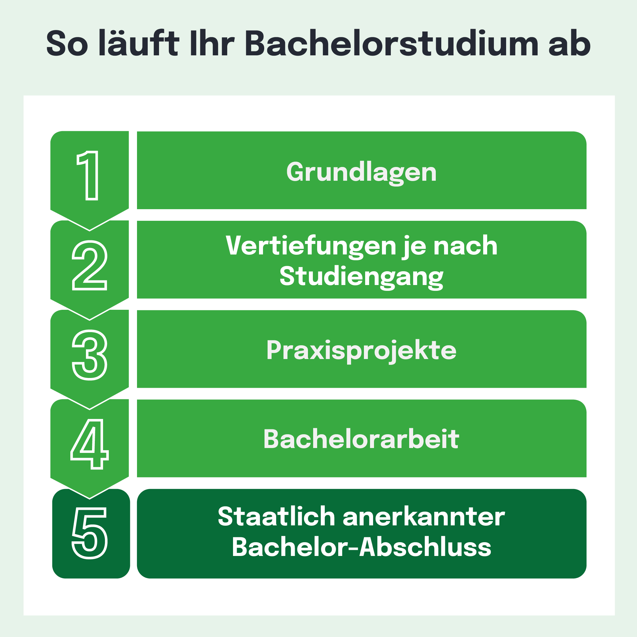 Infografik: 5 Schritte des Bachelorstudiums - Grundlagen, Vertiefungen, Praxisprojekte, Bachelorarbeit, Abschluss